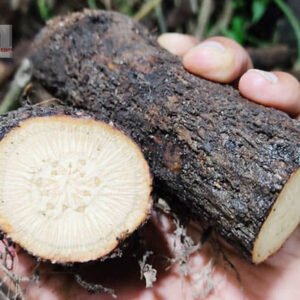 এটো চুইঝাল ৫০০ গ্রাম