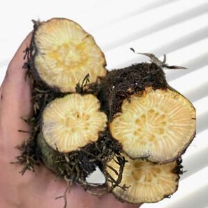 গাছ চুইঝাল ৫০০ গ্রাম